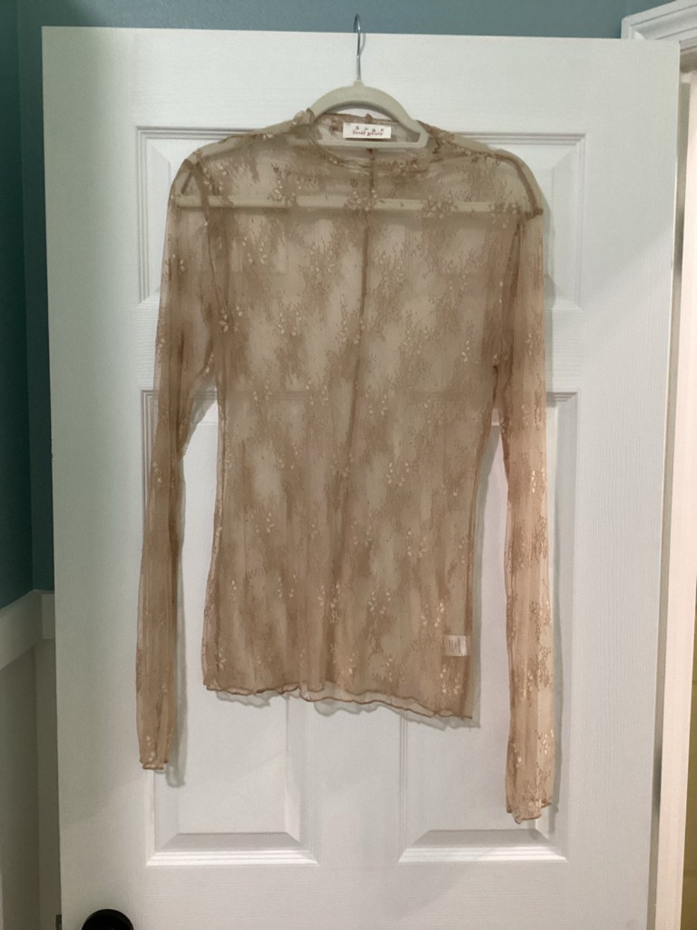 Delicate Sheer Lace Long-Sleeve Top in Beige